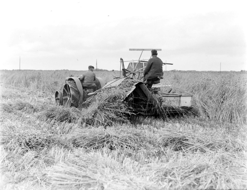 Boeren met tractor en maaimachine in de Anna Paulownapolder, Bestanddeelnr 252-0829