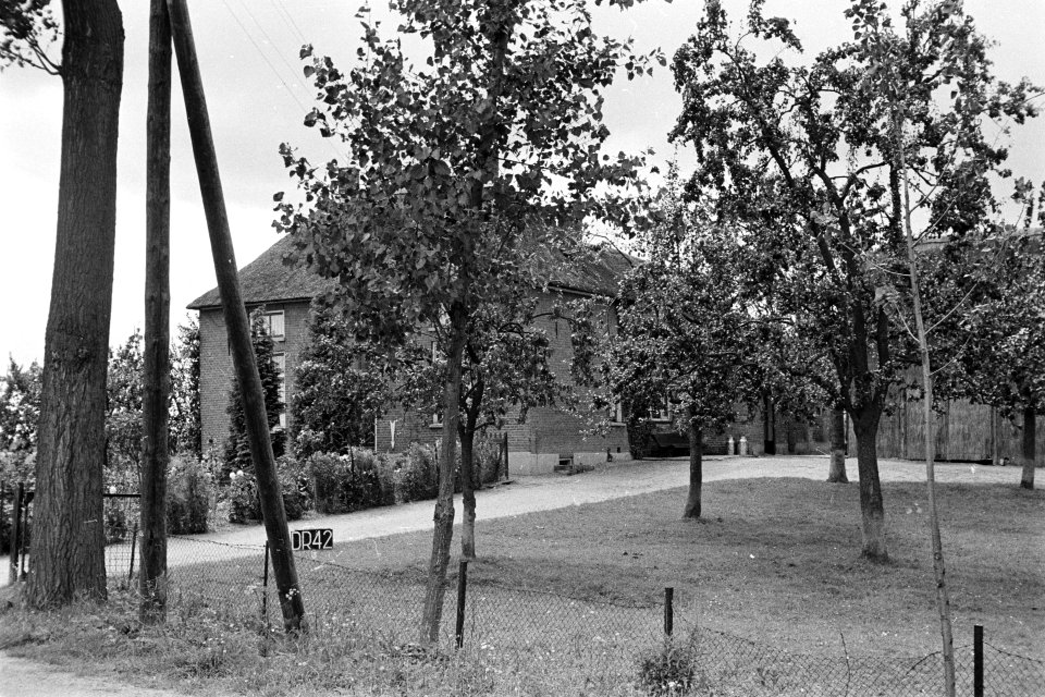 Boerderij te Dreumel of Druten (ruilverkaveling Maas en Waal), Bestanddeelnr 170-2203