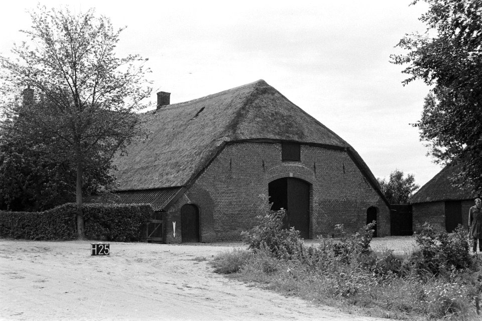 Boerderij te Horssen (ruilverkaveling Maas en Waal), Bestanddeelnr 170-2197