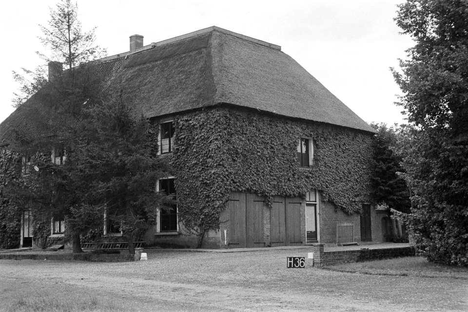 Boerderij te Horssen (ruilverkaveling Maas en Waal), Bestanddeelnr 170-2194