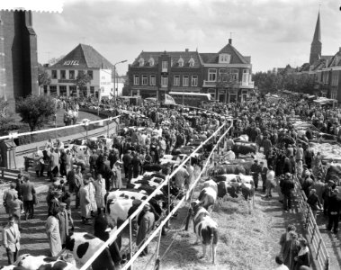 Boerengastdag met vetveemarkt in Schagen Markt, Bestanddeelnr 912-8430