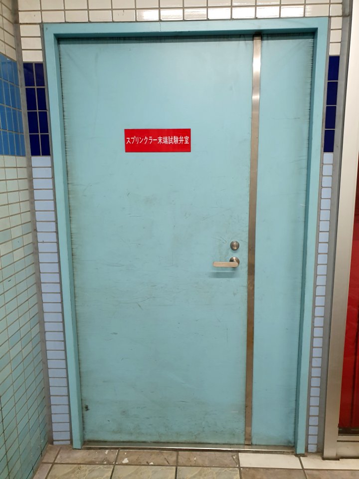Blue door at Haneda Airport Terminal 1 Station 2