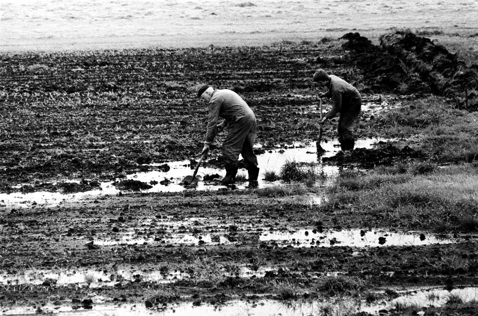 Boeren in Noord Holland graven geulen om het water te laten weglopen, Bestanddeelnr 930-3136