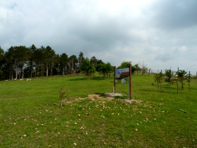 Bomal-Mont des Pins (4)