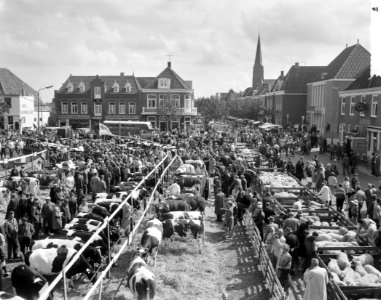 Boerengastdag met vetveemarkt in Schagen Overzicht markt, Bestanddeelnr 912-8437 photo