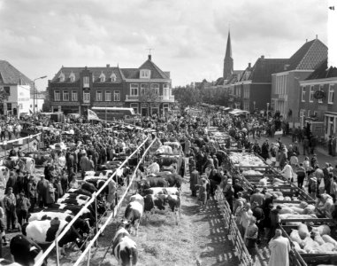 Boerengastdag met vetveemarkt in Schagen Overzicht markt, Bestanddeelnr 912-8437
