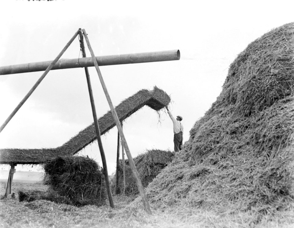 Boeren bezig met het laden van strobalen in de Anna Paulownapolder, Bestanddeelnr 252-0837