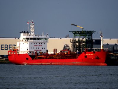 Bomar Pluto (ship, 2008) - IMO 9413585 Port of Rotterdam