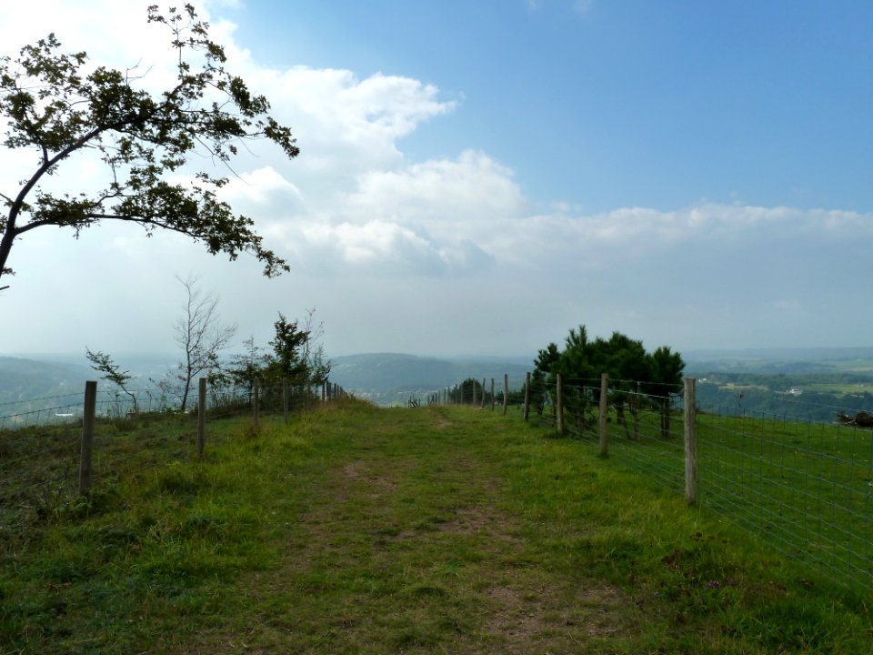 Bomal-Mont des Pins (5)