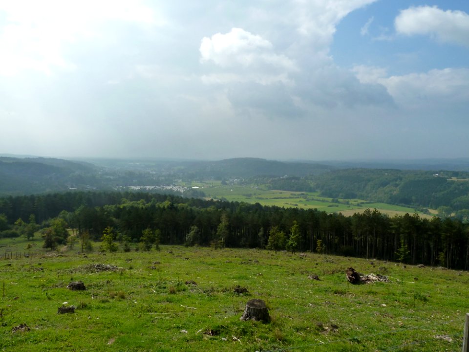 Bomal-Mont des Pins (3)