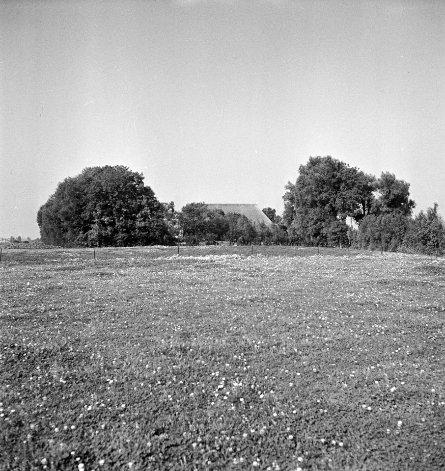 Boerenerf-beplantingen, zuidema g h, Bestanddeelnr 164-0718