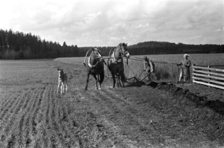 Boeren op het land, Bestanddeelnr 920-4611