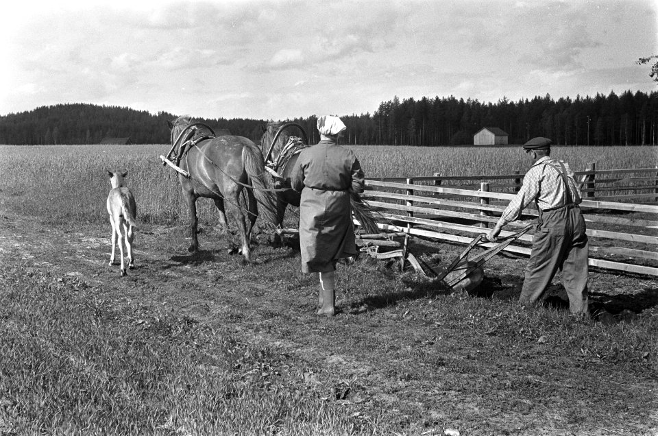 Boeren aan het werk op het land, Bestanddeelnr 920-4607