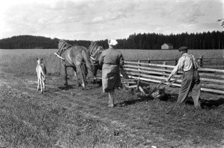 Boeren aan het werk op het land, Bestanddeelnr 920-4607