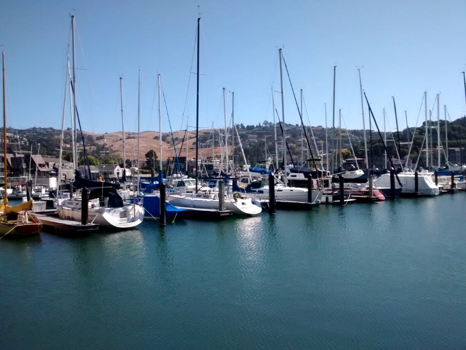 Boats at the San Francisco Yacht Club