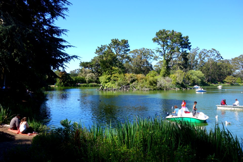Boating on Stow Lake - Golden Gate Park, San Francisco, CA - DSC03720