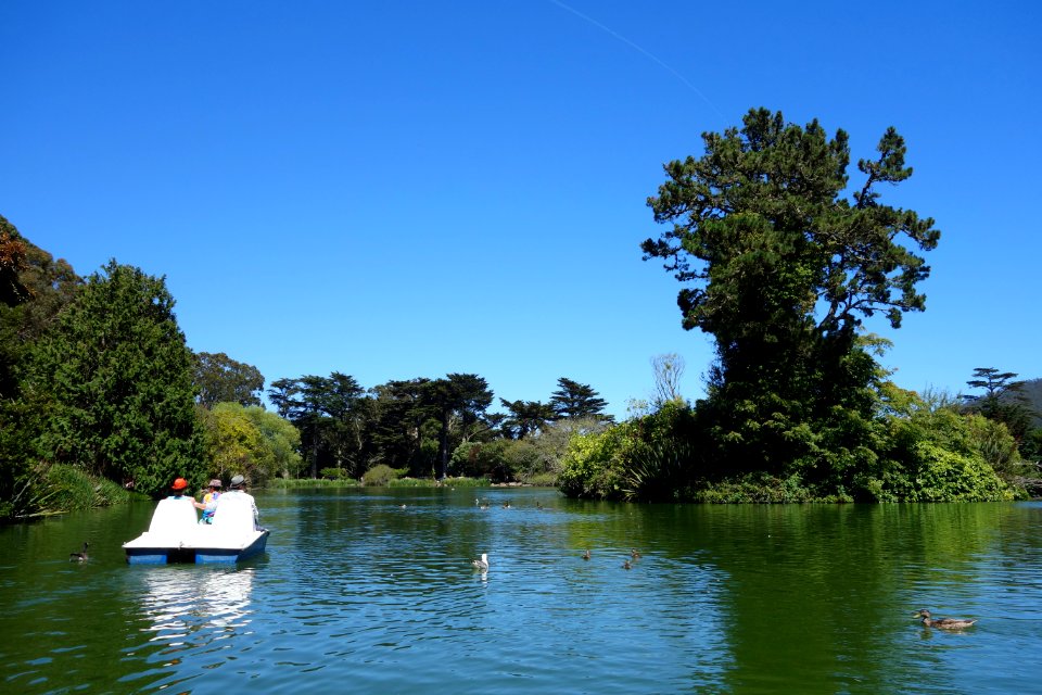 Boating on Stow Lake - Golden Gate Park, San Francisco, CA - DSC03665