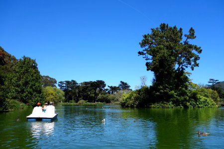 Boating on Stow Lake - Golden Gate Park, San Francisco, CA - DSC03665