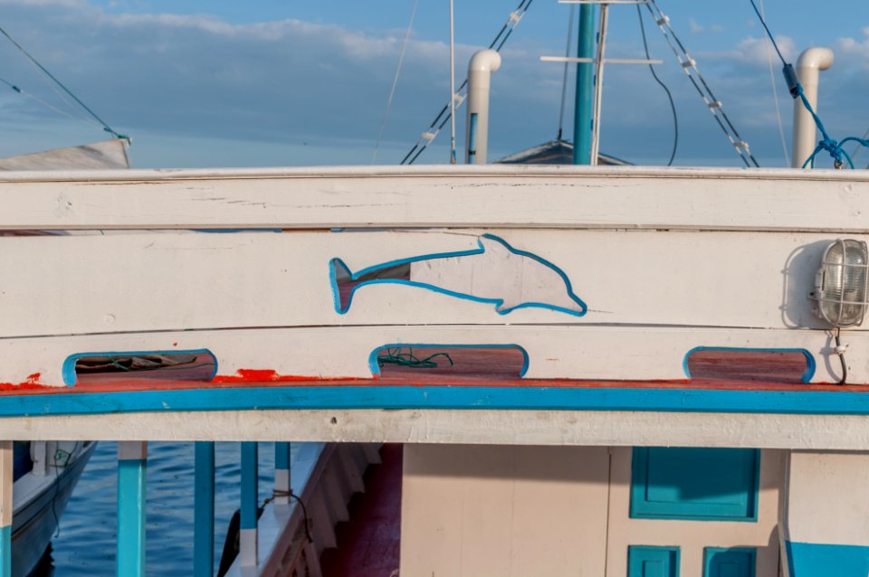 Boat motive decoration dolphin