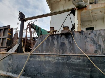 Boats in Kisarazu port 11