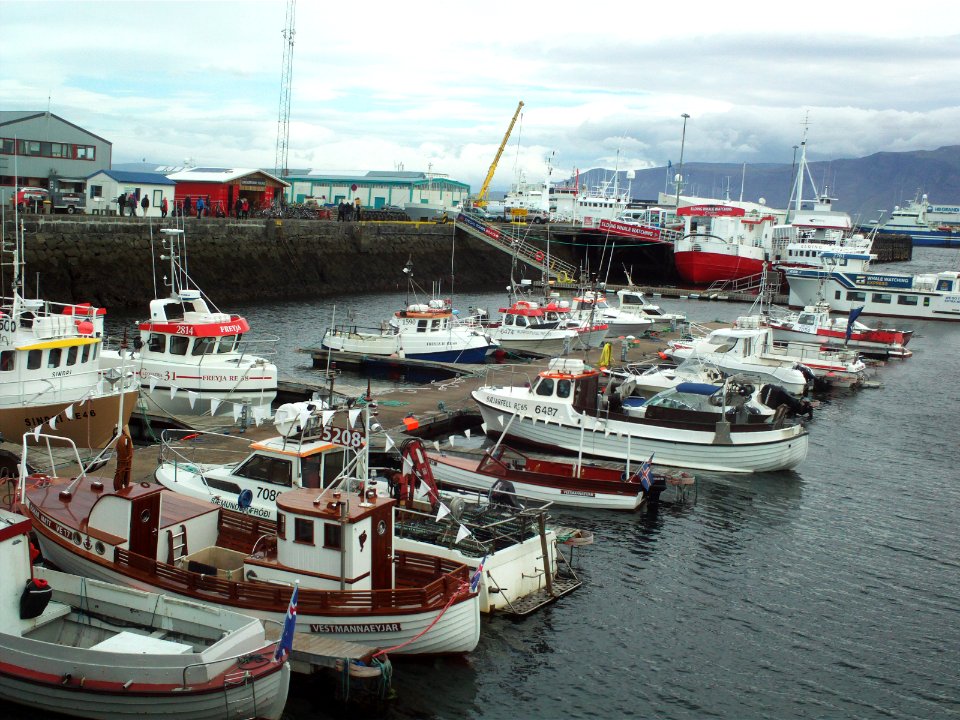 Boats in Reykjavik's Old Harbour