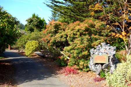 Blue Star Memorial By-Way - Mendocino Coast Botanical Gardens - DSC02010