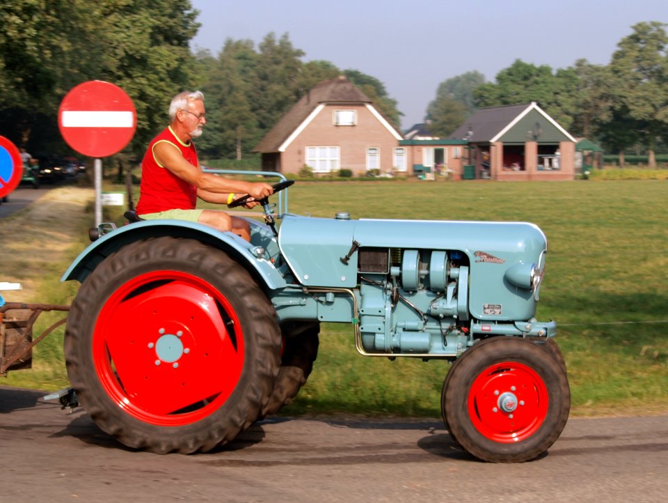 Blue Eicher Panther