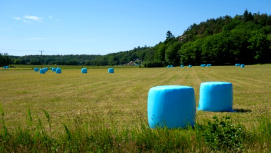 Blue silage bales in Biberg 1