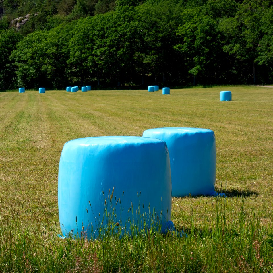 Blue silage bales in Biberg 2
