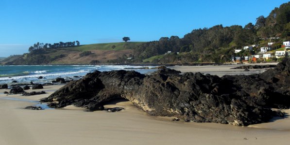 Boat Harbour Beach rocks 20190722-003