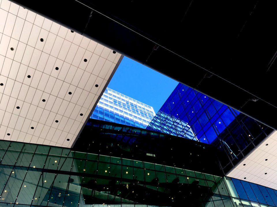 Blue Sky (202424715)