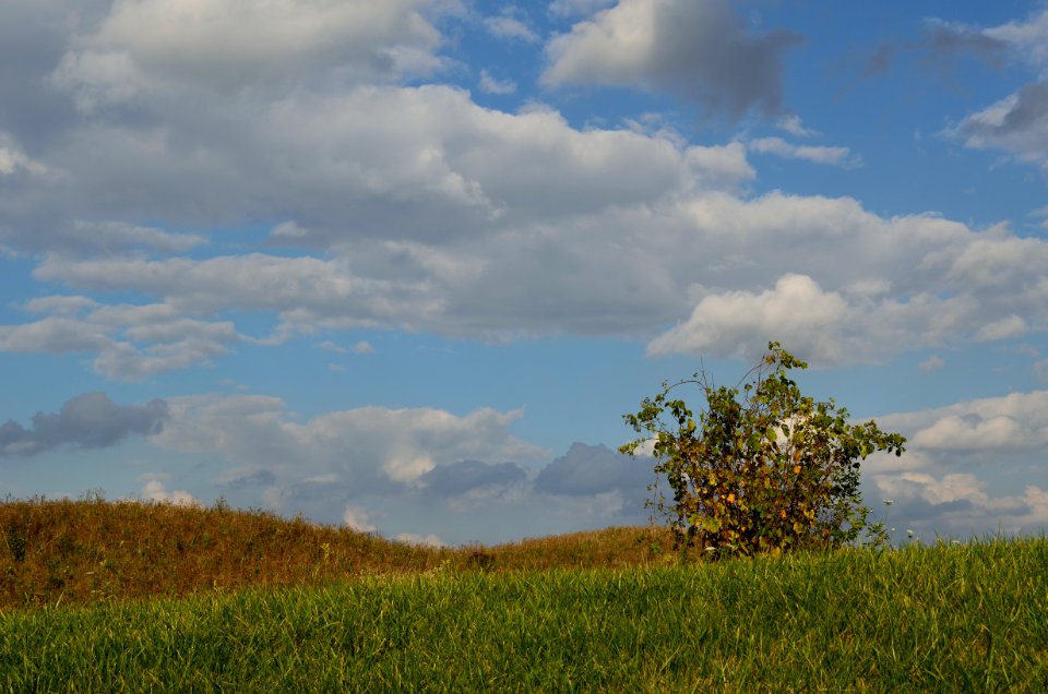 BlueSkyWhiteCloudsGrassland2