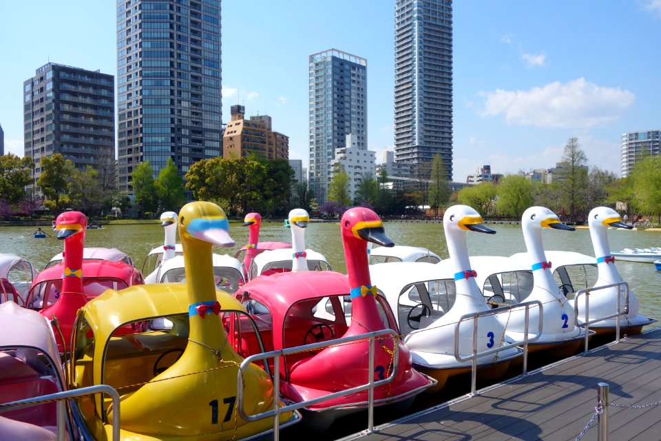 Boats on Shinobazu Pond - Ueno Park, Tokyo, Japan - DSC02030