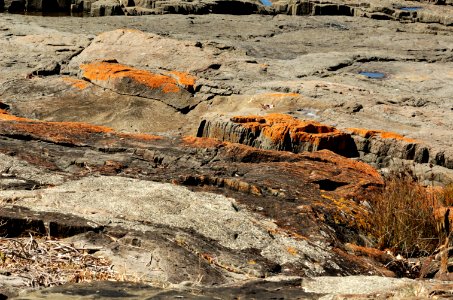 Bluff-rocks-Devonport-20070310-017