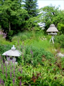 Blumenpark Dehner 10