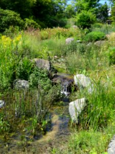 Blumenpark Dehner 3