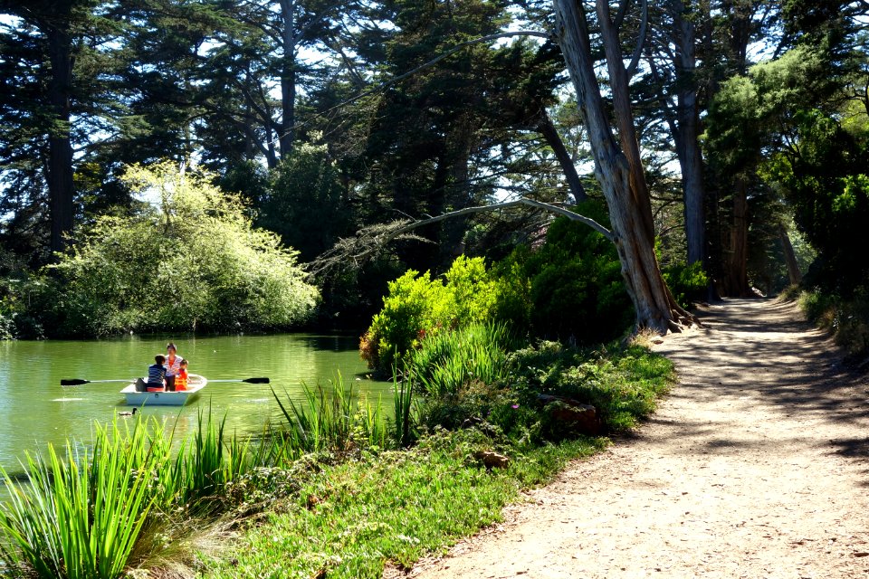 Boating on Stow Lake - Golden Gate Park, San Francisco, CA - DSC03728