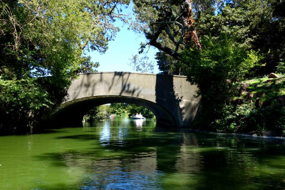 Boating on Stow Lake - Golden Gate Park, San Francisco, CA - DSC03663
