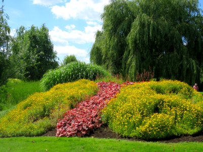 Blumenpark Dehner 19