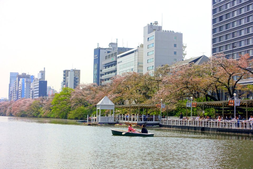 Boating at the Canal Cafe - Tokyo, Japan - DSC06166
