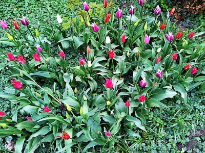 Blumengrün