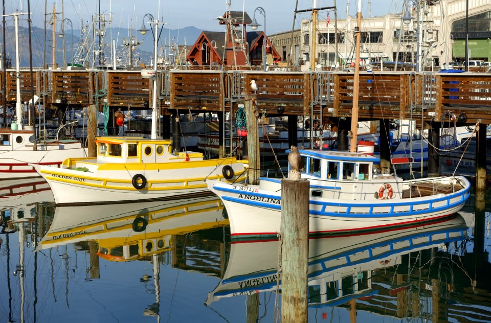 Boats near Fisherman's Wharf - San Francisco, CA - DSC02050
