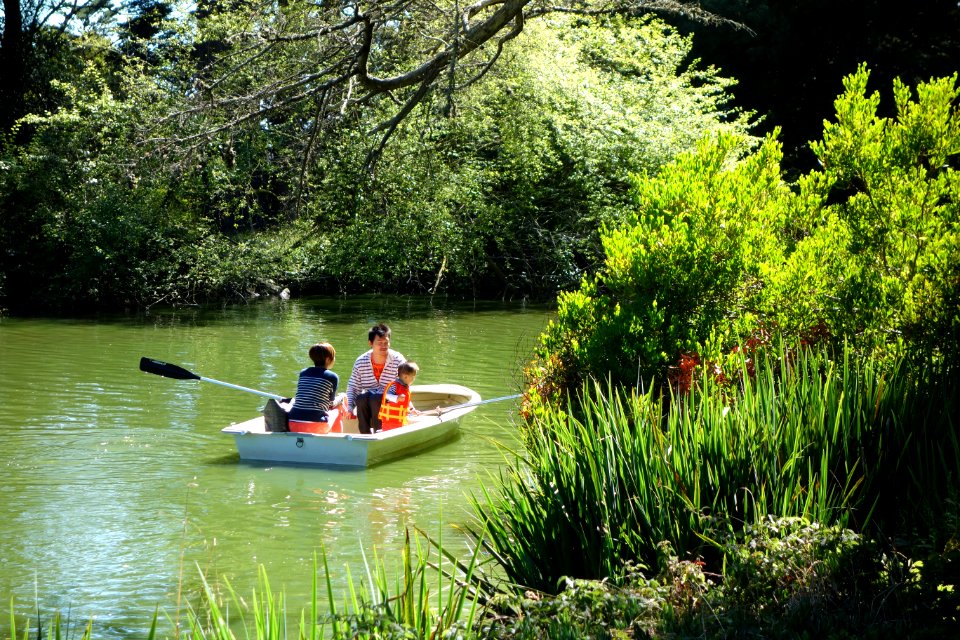 Boating on Stow Lake - Golden Gate Park, San Francisco, CA - DSC03730