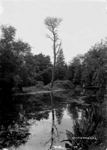 Boultibrook Gds (1293904)