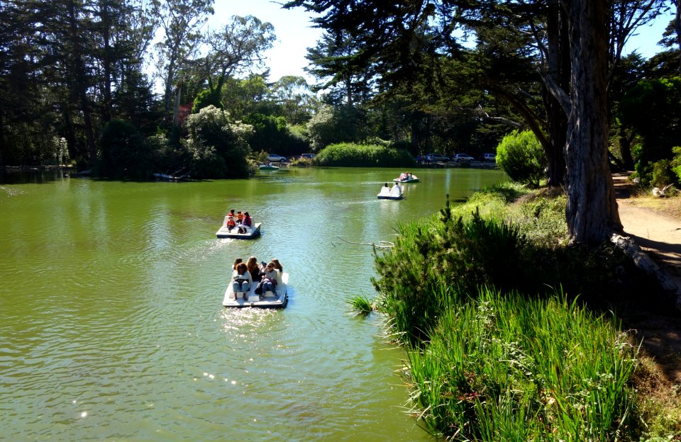 Boating on Stow Lake - Golden Gate Park, San Francisco, CA - DSC03737