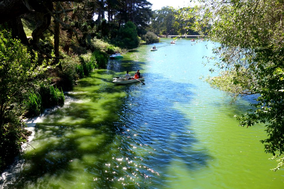 Boating on Stow Lake - Golden Gate Park, San Francisco, CA - DSC03699