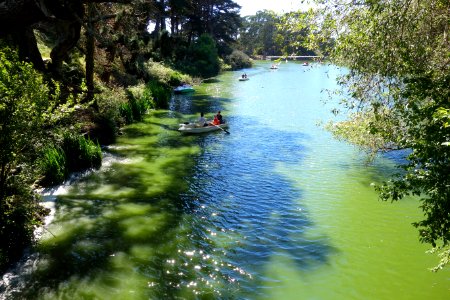 Boating on Stow Lake - Golden Gate Park, San Francisco, CA - DSC03699