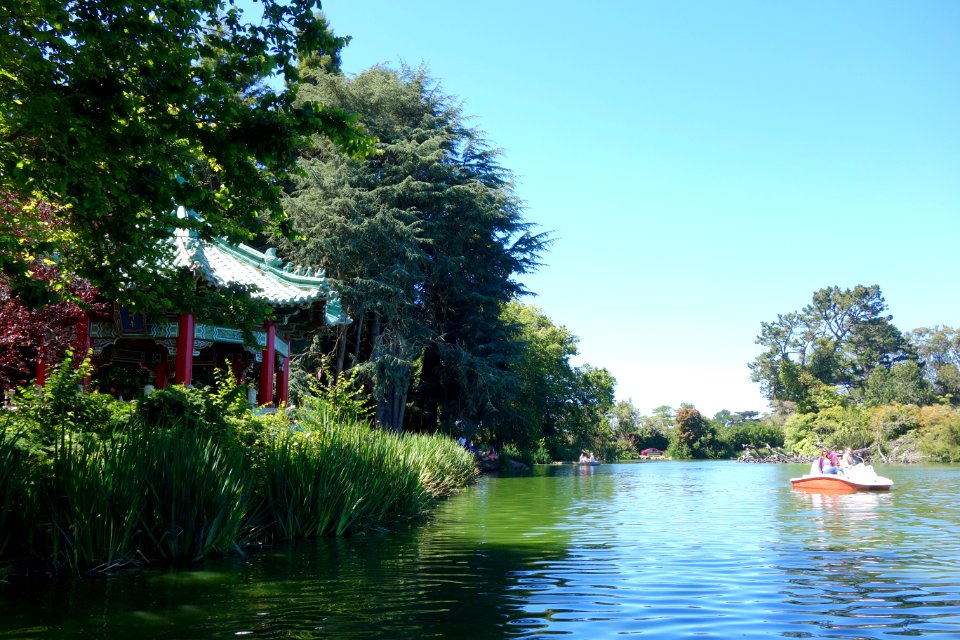Boating on Stow Lake - Golden Gate Park, San Francisco, CA - DSC03676