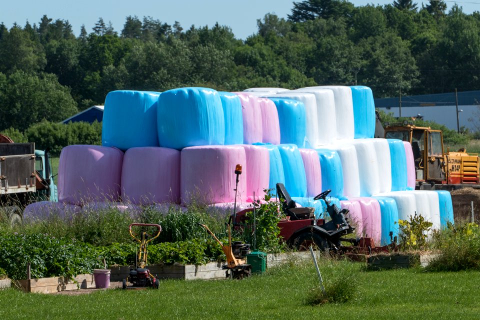 Blue pink and white silage bales