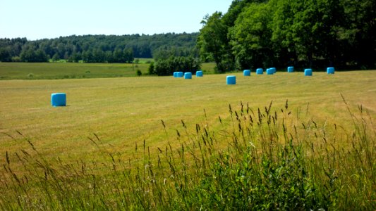 Blue silage bales in Biberg 4